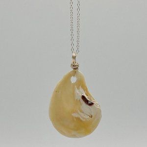 Shell Pendant on 24" Silver Chain Necklace; S24-71